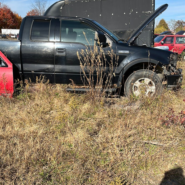 04 Ford F150